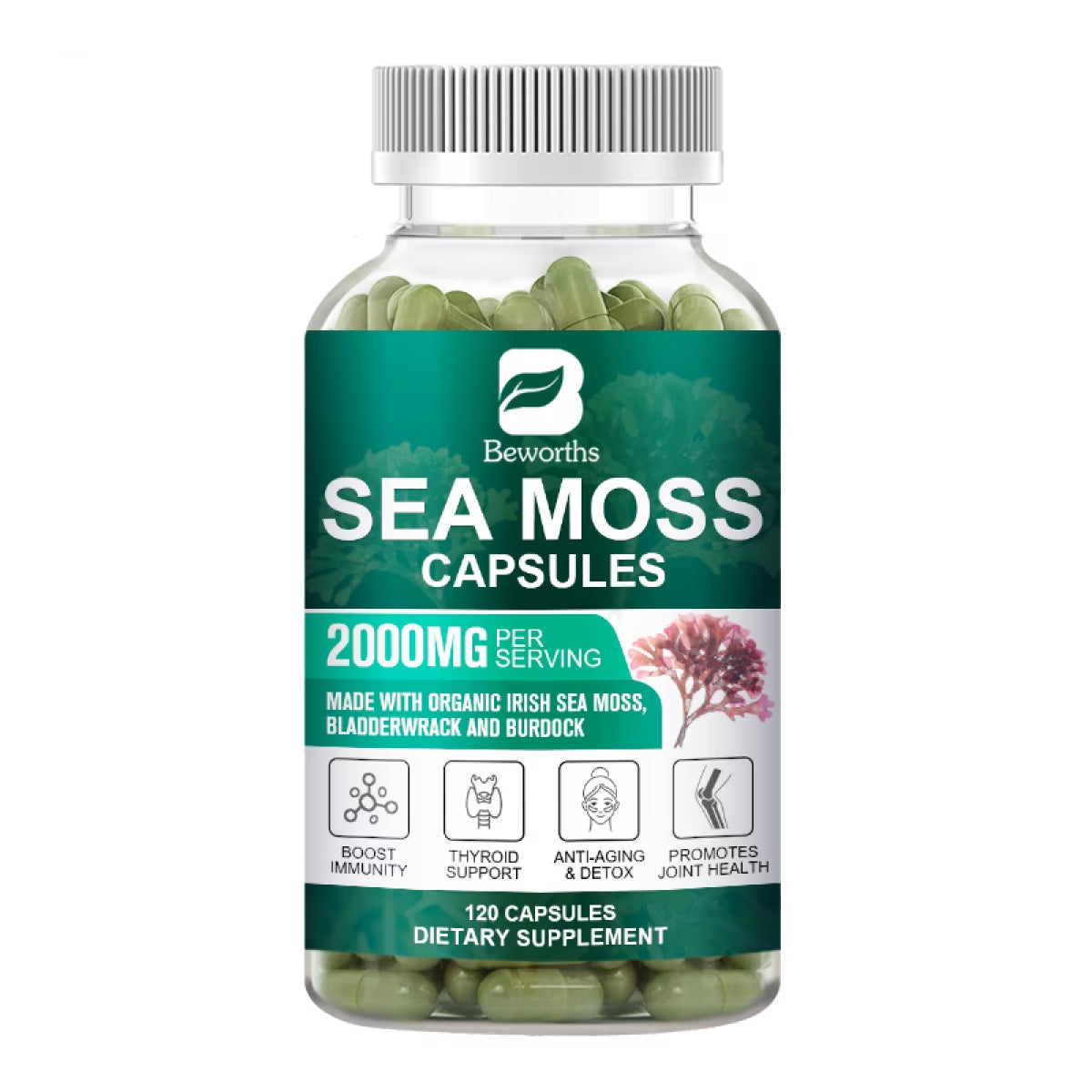 Irish Sea Moss Capsules 2000Mg with Burdock Root, Irish Moss and Bladderwrack, 120 Capsules
