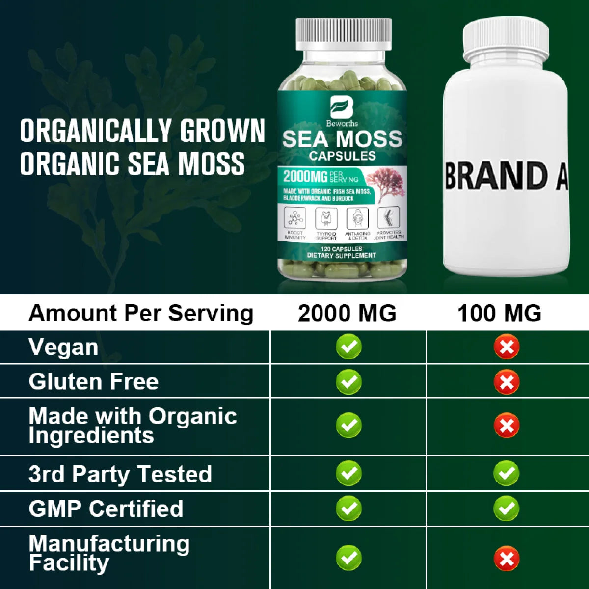 Irish Sea Moss Capsules 2000Mg with Burdock Root, Irish Moss and Bladderwrack, 120 Capsules