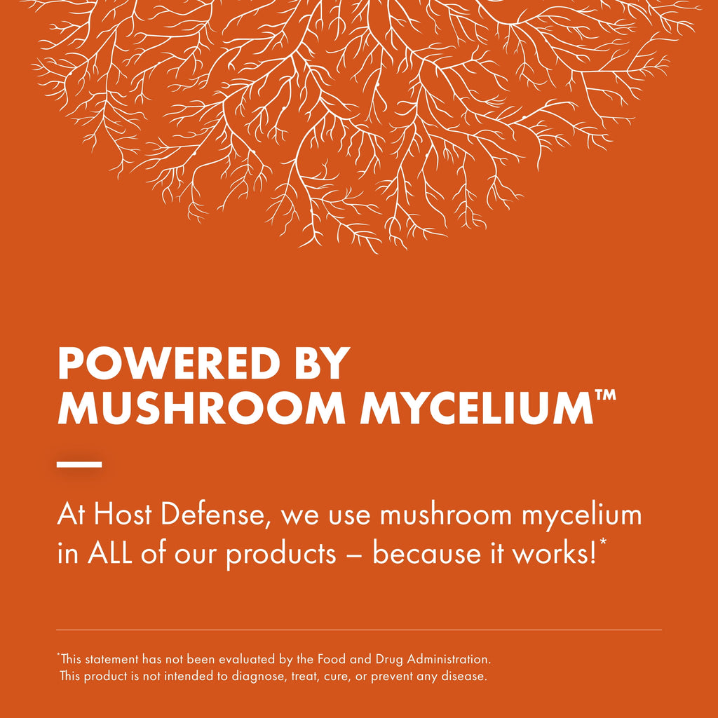 Cordyceps Powder - 3.5 Oz (66 Servings)