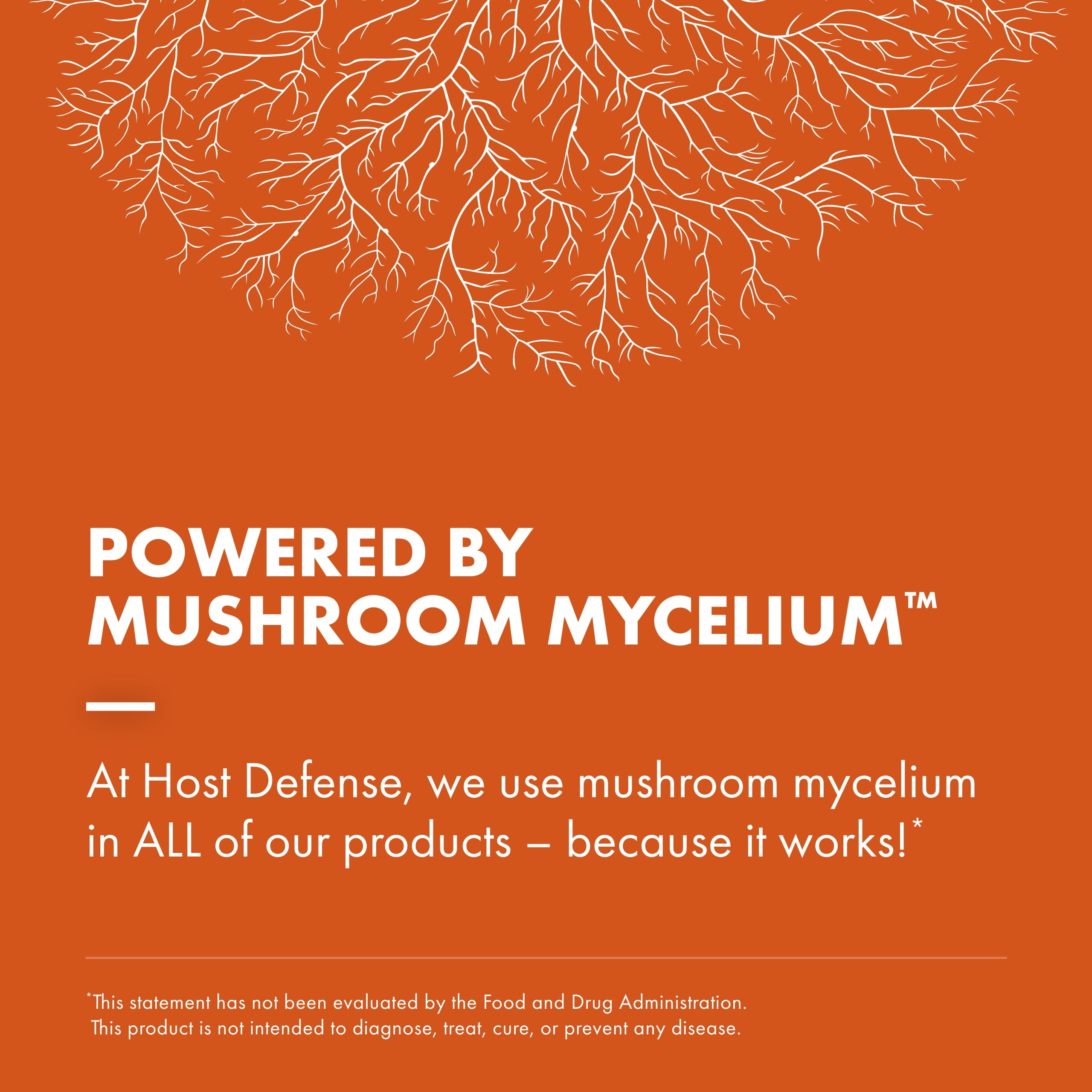 Cordyceps Powder - 3.5 Oz (66 Servings)