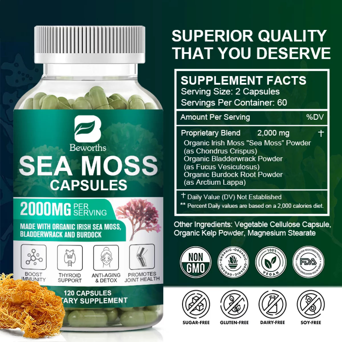 Irish Sea Moss Capsules 2000Mg with Burdock Root, Irish Moss and Bladderwrack, 120 Capsules