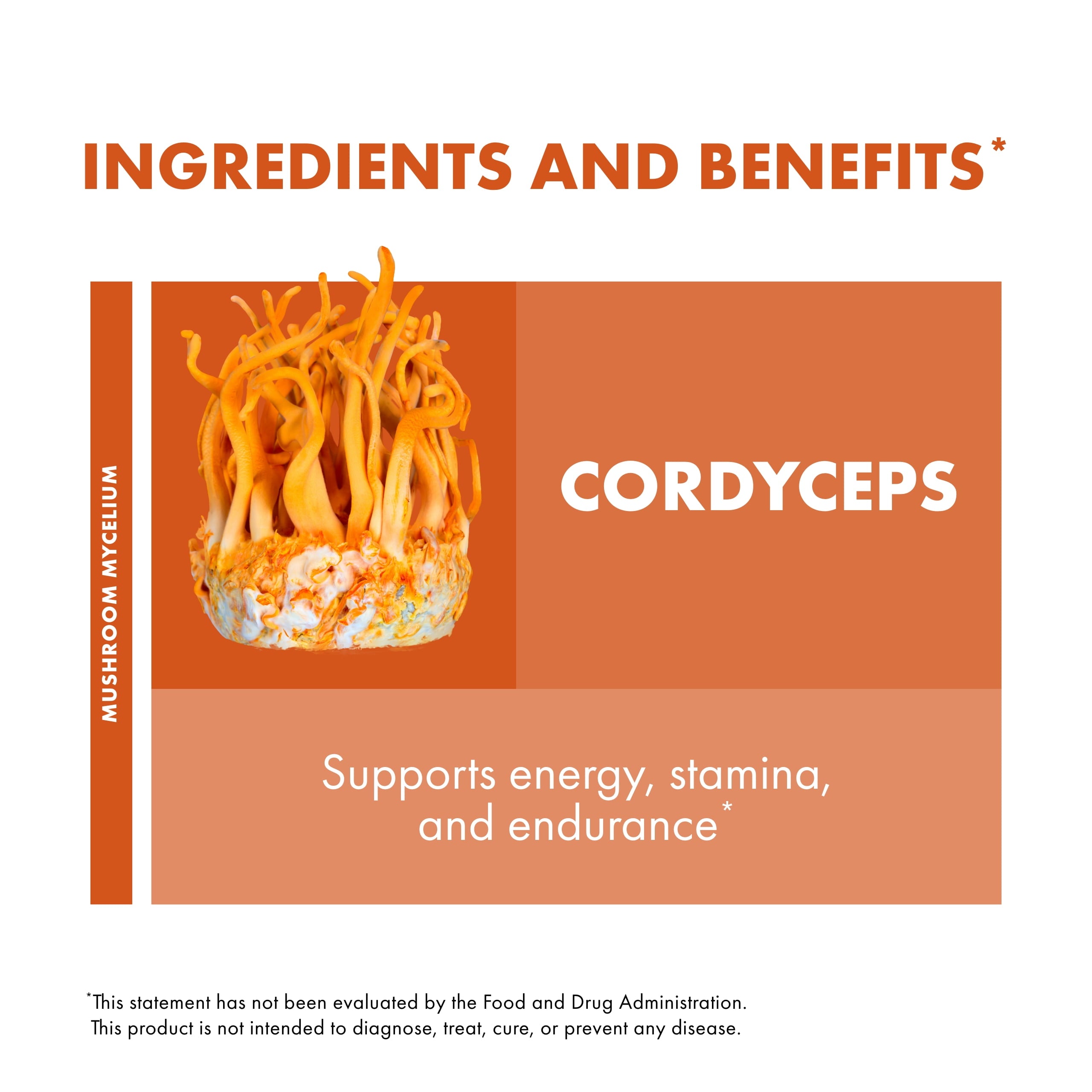 Cordyceps Powder - 3.5 Oz (66 Servings)