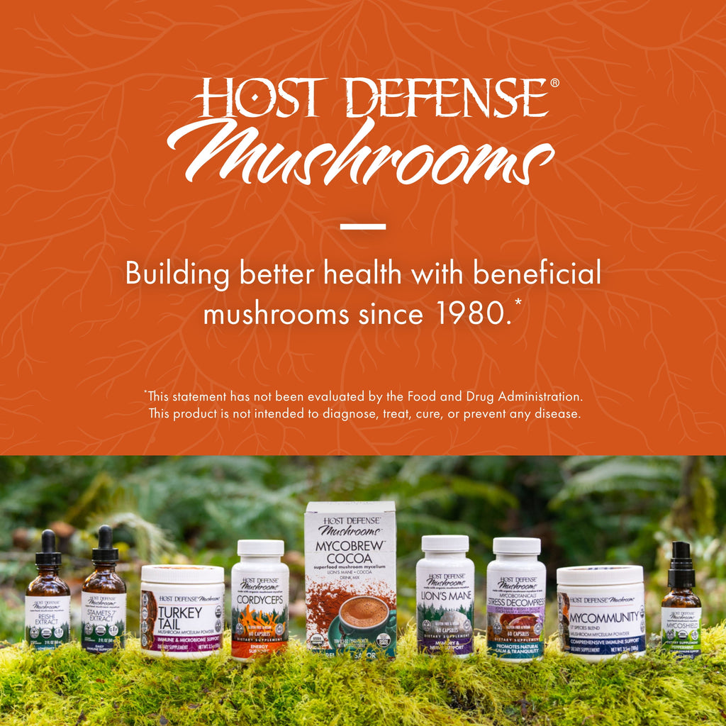 Cordyceps Powder - 3.5 Oz (66 Servings)