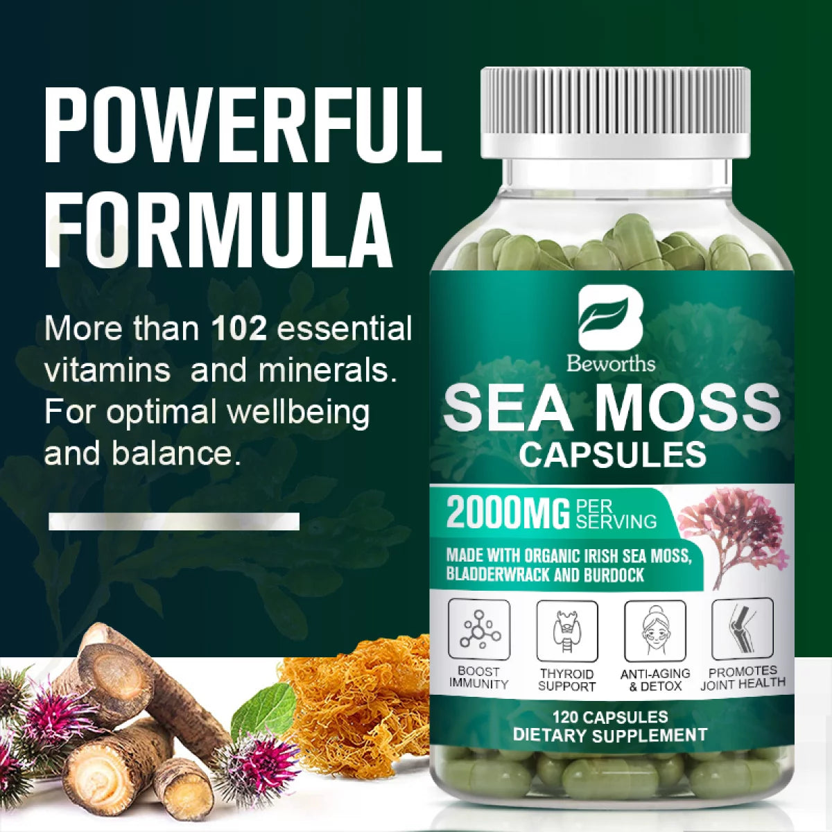 Irish Sea Moss Capsules 2000Mg with Burdock Root, Irish Moss and Bladderwrack, 120 Capsules